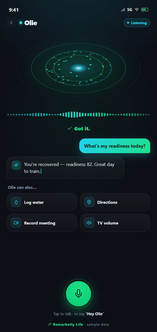 Olie voice assistant
